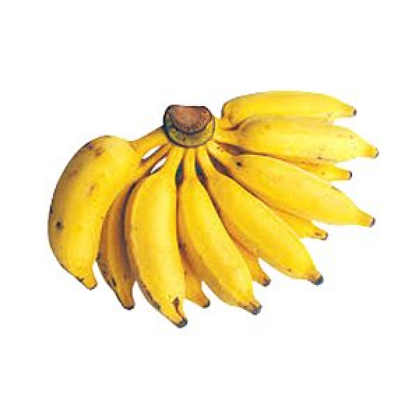 矮卡文迪什(香蕉)