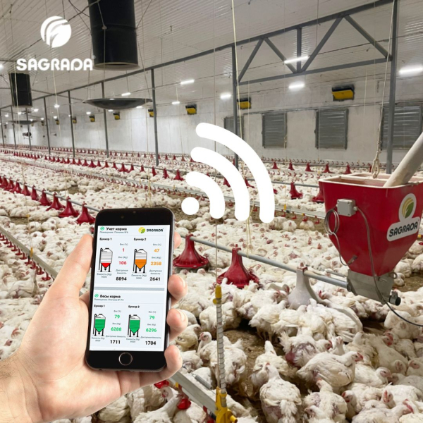 带遥控的肉鸡饲养设备