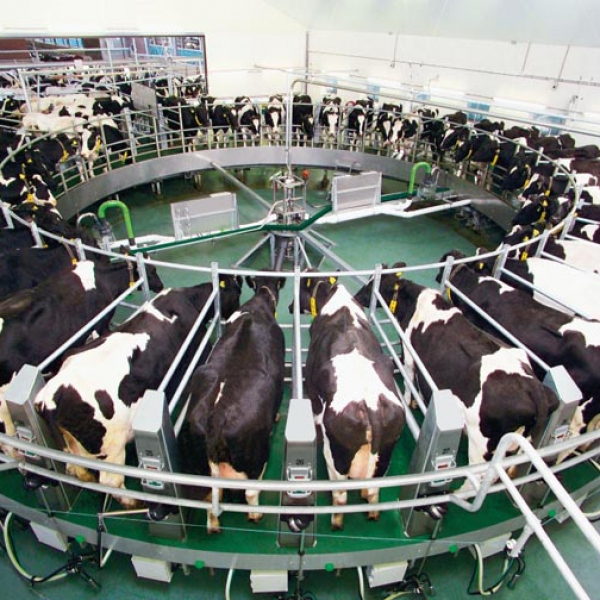 Modern equipment for animal husbandry