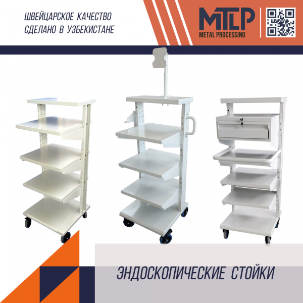 Endoscopic trolley (equipment stand)