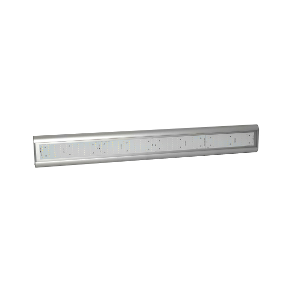 LED灯“Tegas S18P100PDVK”