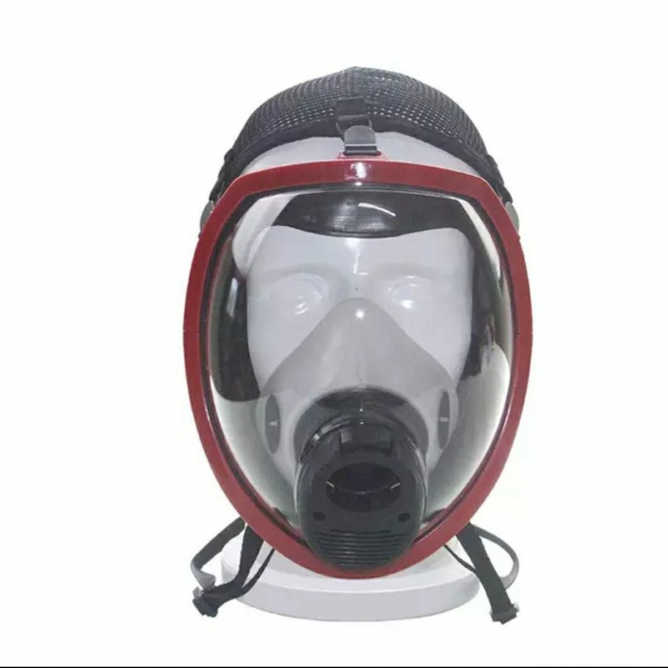 Gas mask with panoramic mask and box
