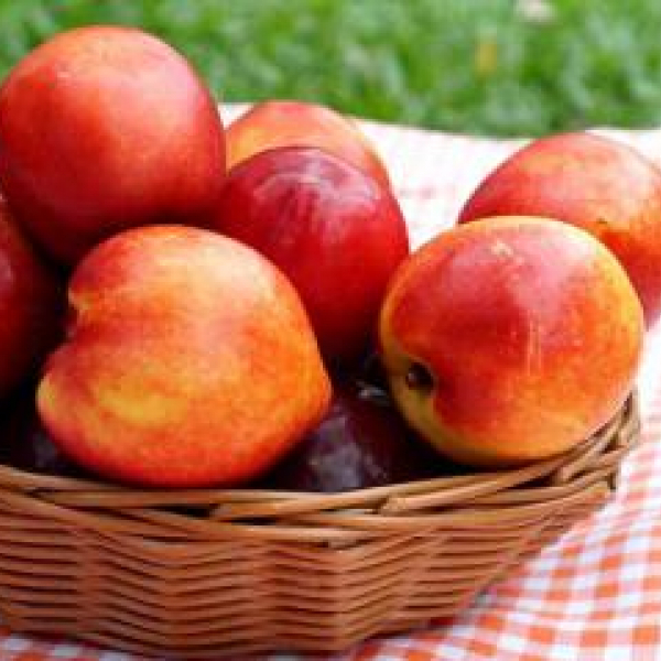 油桃