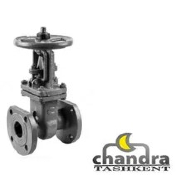 Steel wedge gate valve 30s41nzh Du50 Ru16