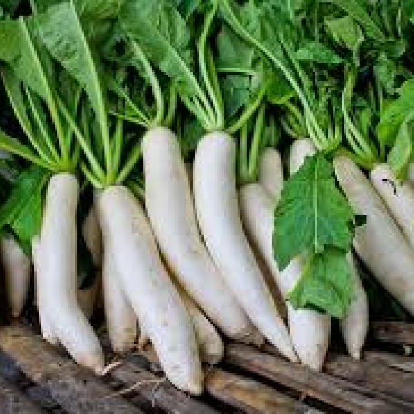 Daikon