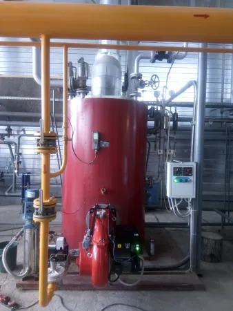 Steam boilers from 100 to 4000 kg/hour — photo 2