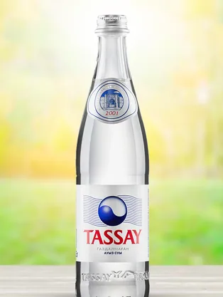 塔萨耶啤酒 0.25L