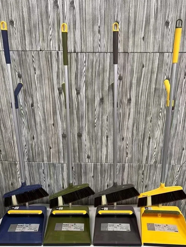 Dustpan and broom set 6616