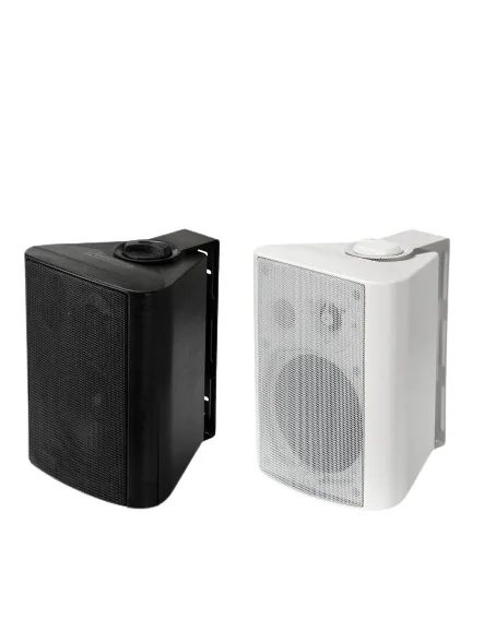 ITC 9SL/19SL 壁挂式公共广播扬声器,40W,70–100V