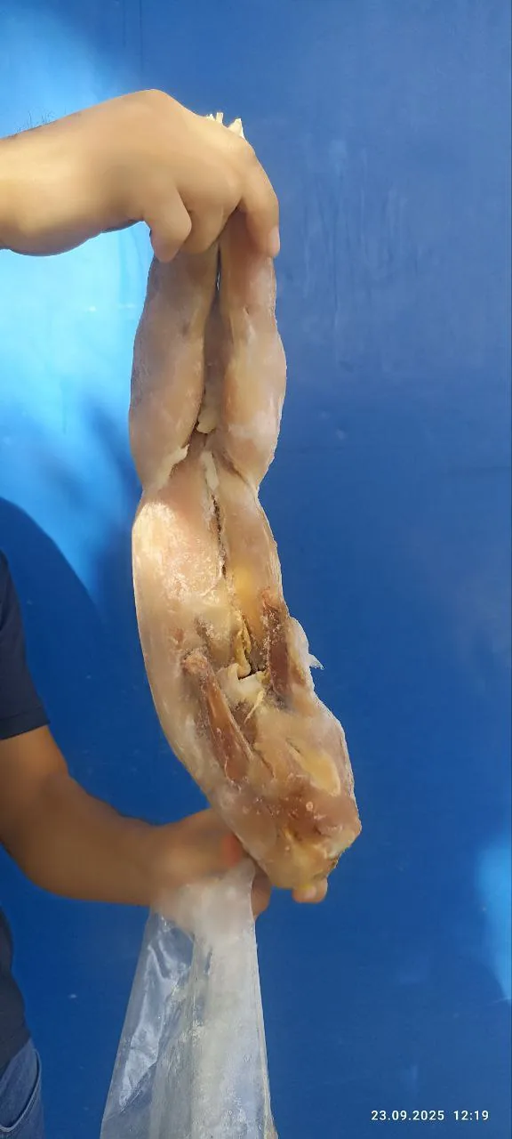 Frozen rabbit meat, grade 1 — photo 3