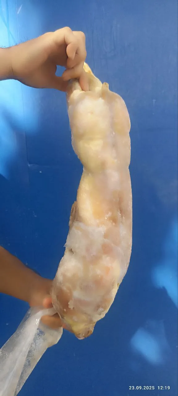 Frozen rabbit meat, grade 1 — photo 2