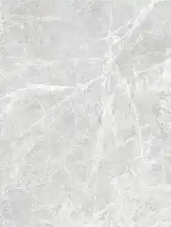 Porcelain stoneware 9850, 60×60 cm, matte surface (Matte)