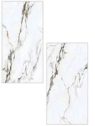 瓷质炻器 0806，60×120 厘米，哑光表面（哑光）