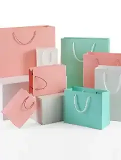 纸质礼品袋 235×300×100 毫米，多种颜色可选（1 个）
