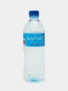 SAYHUN PREMIUM 碳酸水（PET，0.5升）