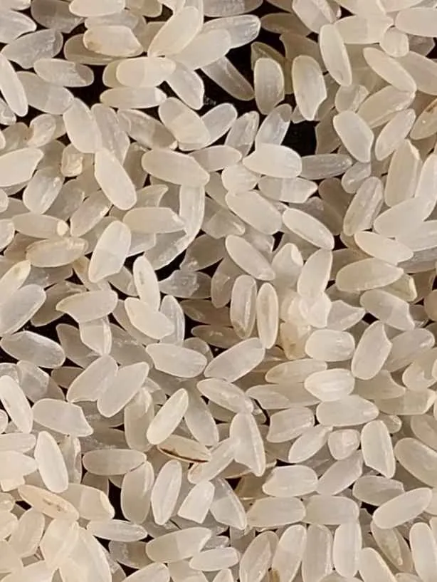 Broken short-grain rice