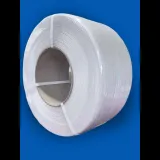 Lenta pp tasma