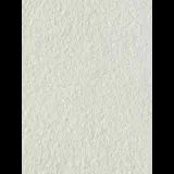 Suyuq fon rasmi Standart G-011