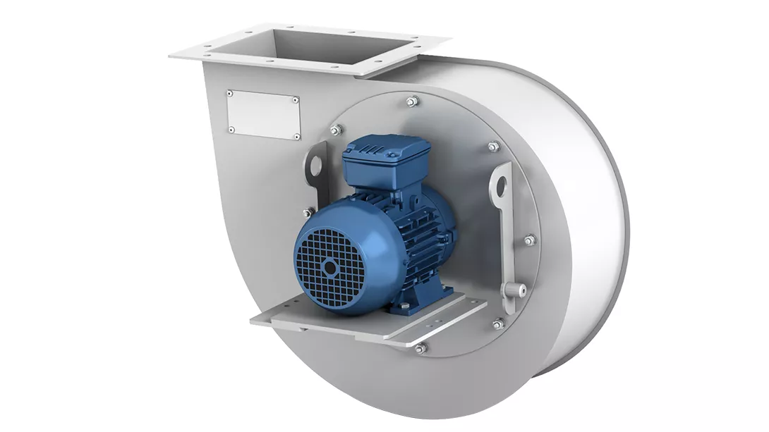 Dengiz radial fanatlar RSS — rasm 2
