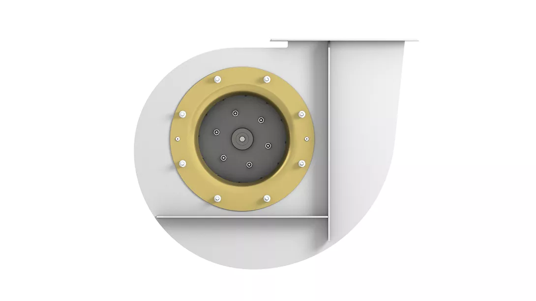 Dengiz radial fanatlar RSS — rasm 3